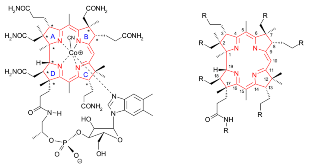 VitaminB12