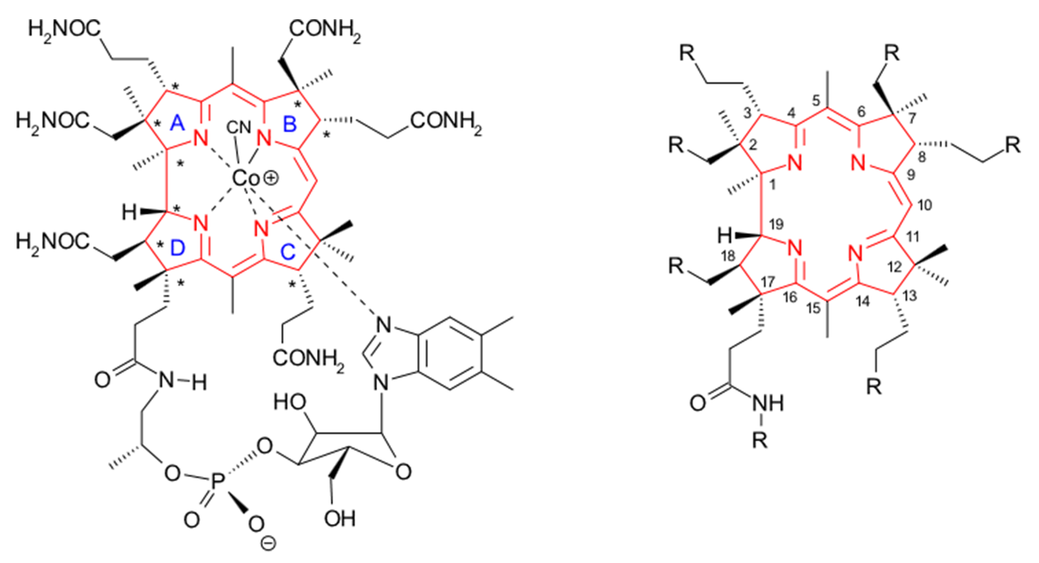 VitaminB12