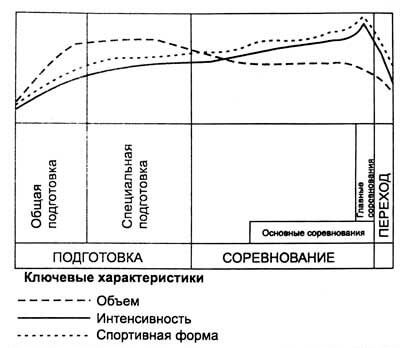 Структура тренировочных занятий